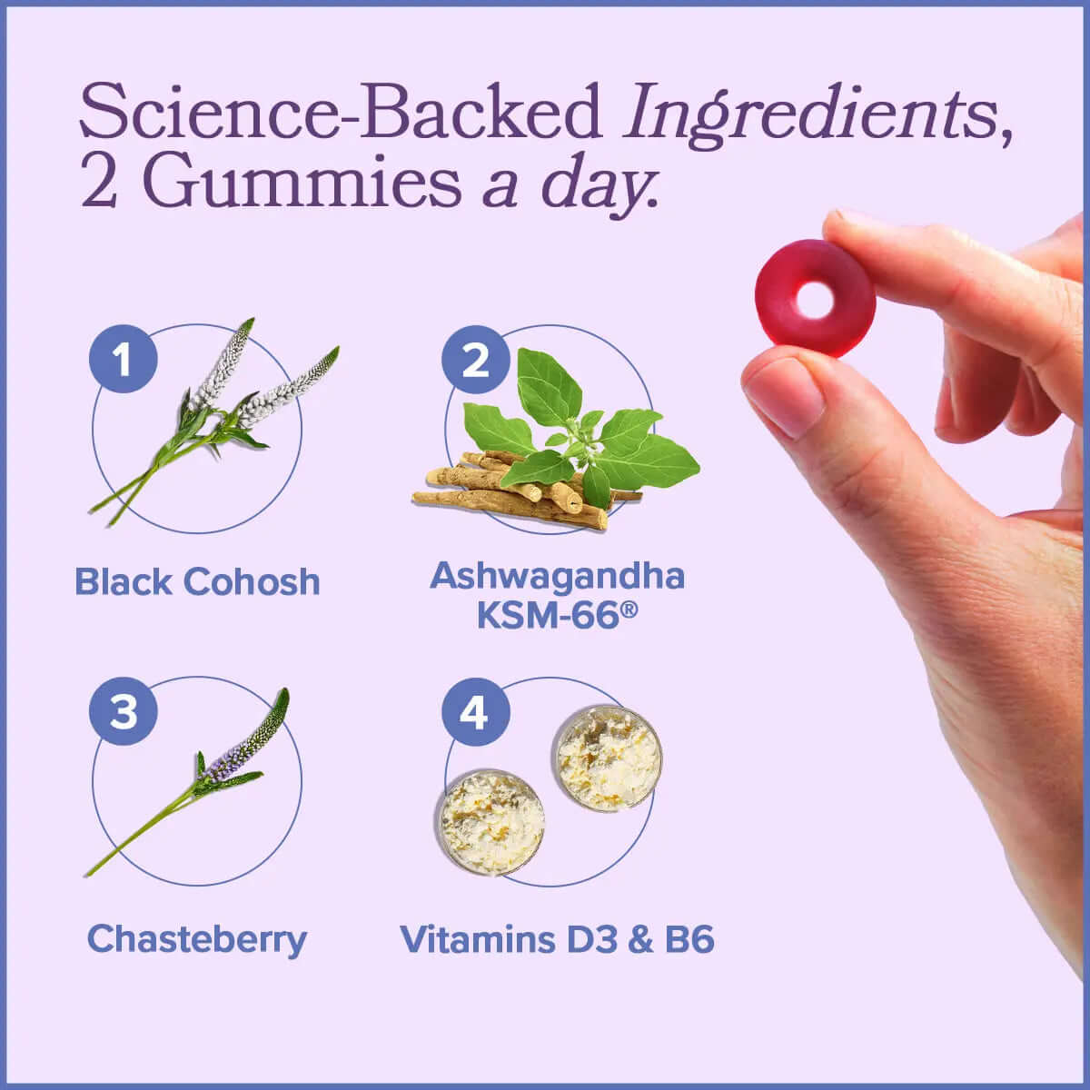 Menopause Supplements with Black Cohosh & Ashwagandha ingredients: Black Cohosh, Ashwagandha KSM-66, Chasteberry, Vitamins D3 & B6.