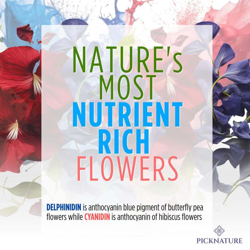 Organic Purple Hibiscus and Butterfly Pea Flower Tea with vibrant flowers and nutrient-rich information.