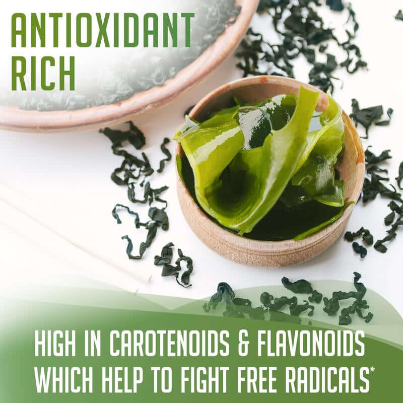 Organic Kelp Powder in a bowl, highlighting its antioxidant-rich benefits and high carotenoid content.