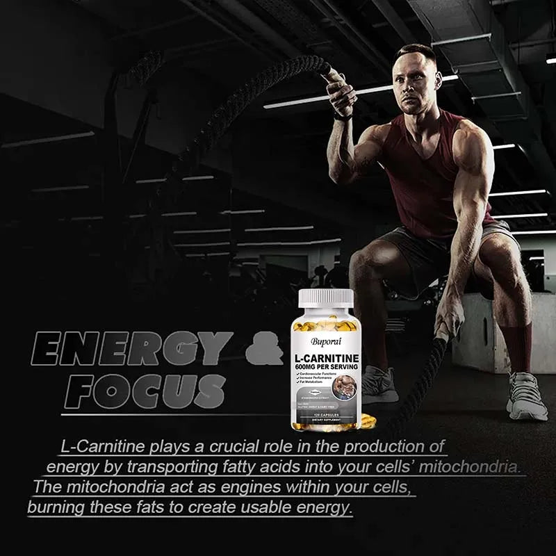 L-Carnitine 600mg Capsules – Fat &amp; Energy Support