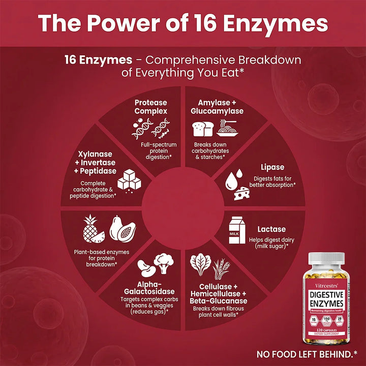 Digestive Enzymes Supplement - Digestion and Intestinal Health for Adults Men and Women, Promotes Nutrient Absorption
