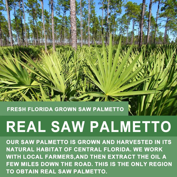 Saw Palmetto Supplement – Prostate &amp; Hair Support