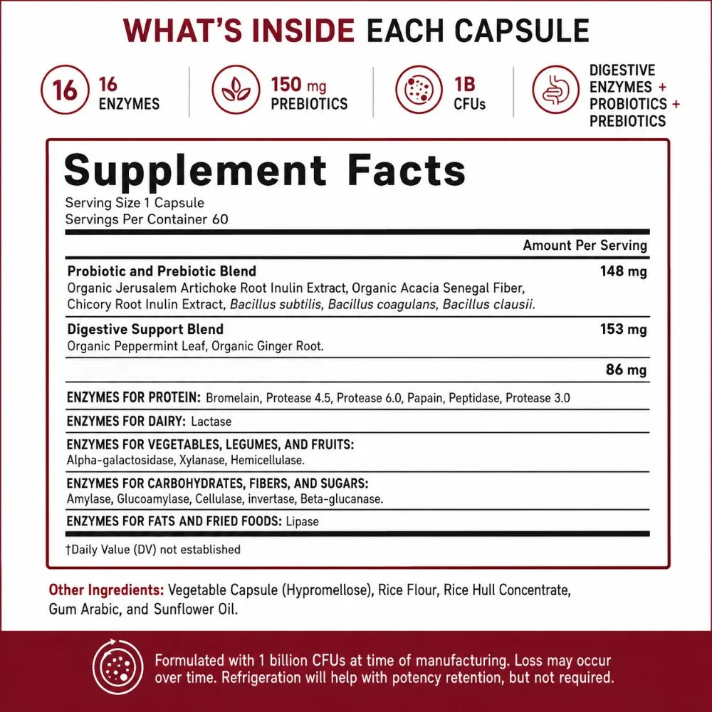 Digestive Enzymes with Probiotics &amp; Prebiotics – 60 Capsules