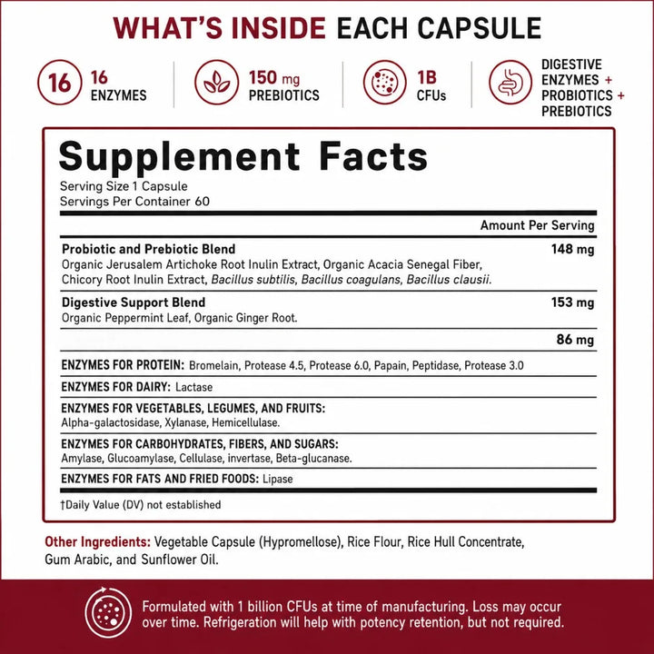 Digestive Enzymes with Probiotics &amp; Prebiotics – 60 Capsules