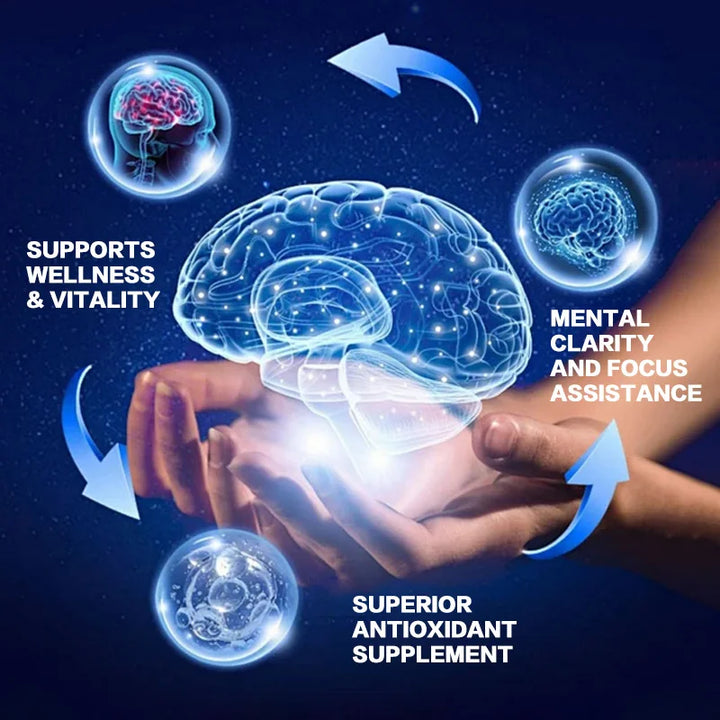 Mushroom Supplement Blend – Energy, Focus &amp; Brain Support
