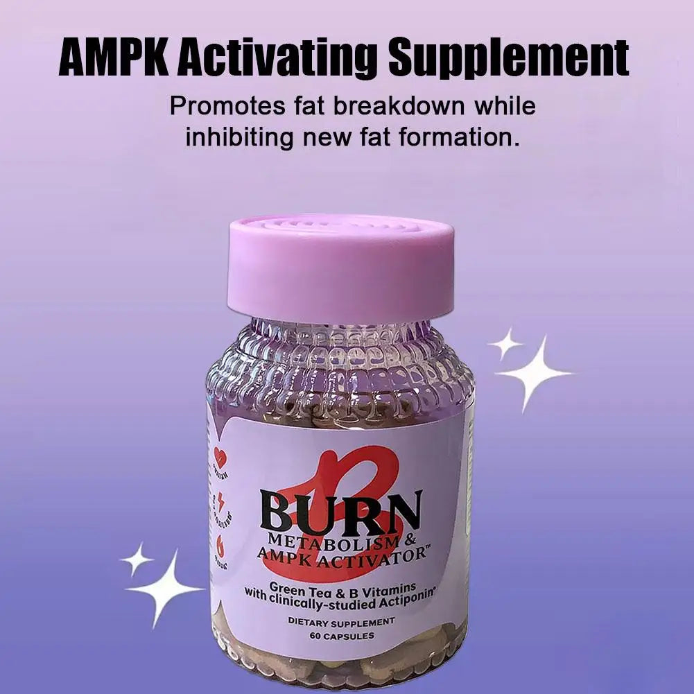 Metabolic Support Probiotic Capsules – 60 Count