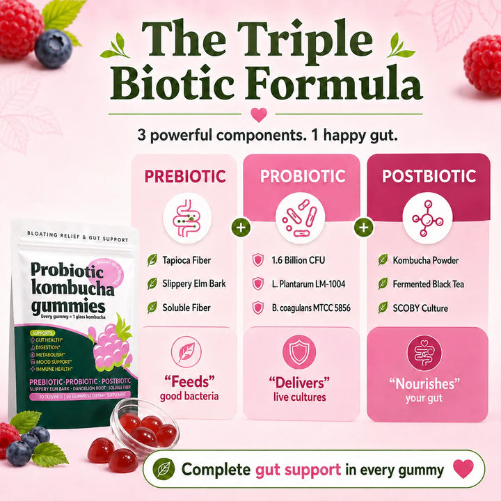 Probiotic Kombucha Gummies – Berry, Prebiotic &amp; Postbiotic