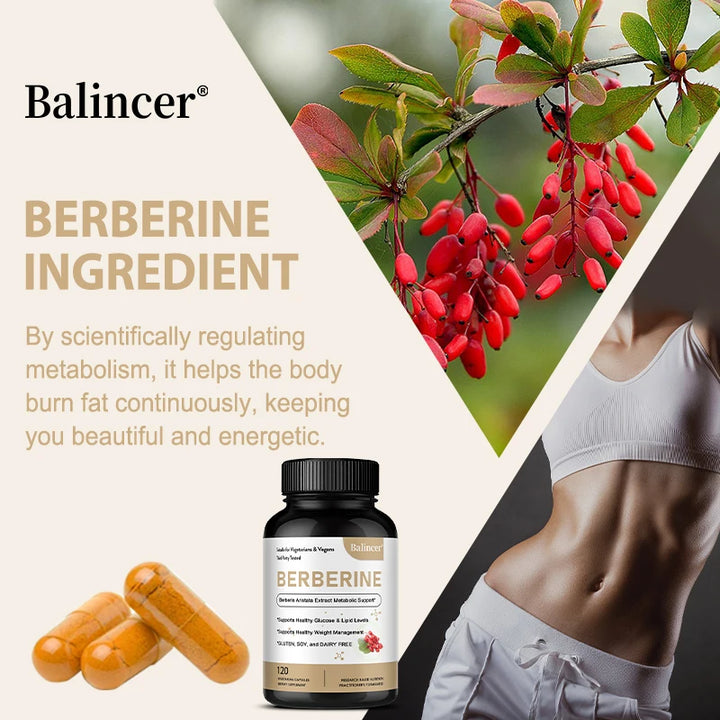 Berberine Capsules 500 Mg - Promotes Cardiovascular and Cholesterol Health, Support Healthy Weight Management and Immune System