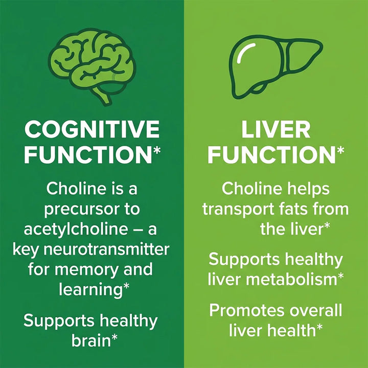 Choline 500mg Capsules – Cognitive &amp; Liver Support