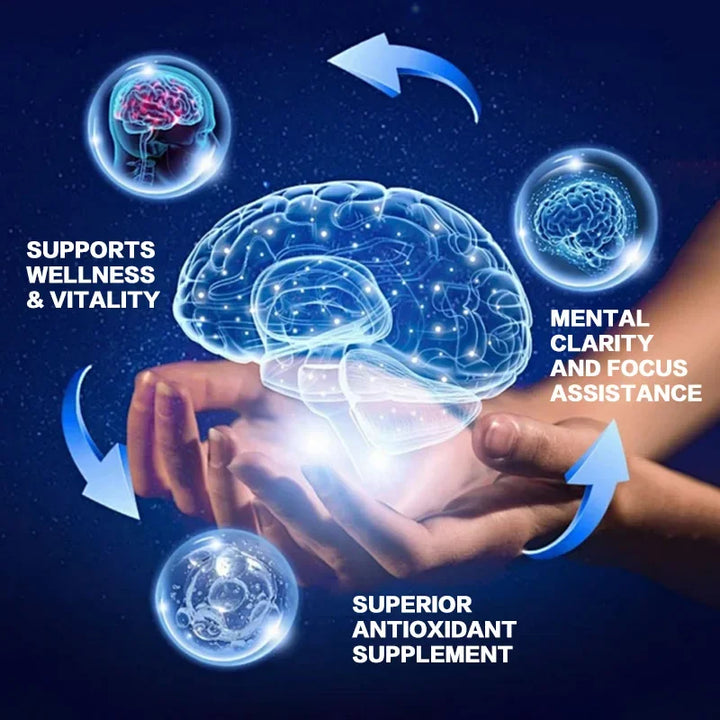 Mushroom Supplement Blend – Energy, Focus &amp; Brain Support