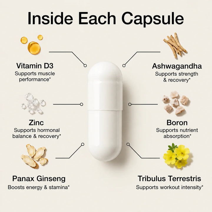 Muscle Builder Sports Capsules – Strength &amp; Recovery Support