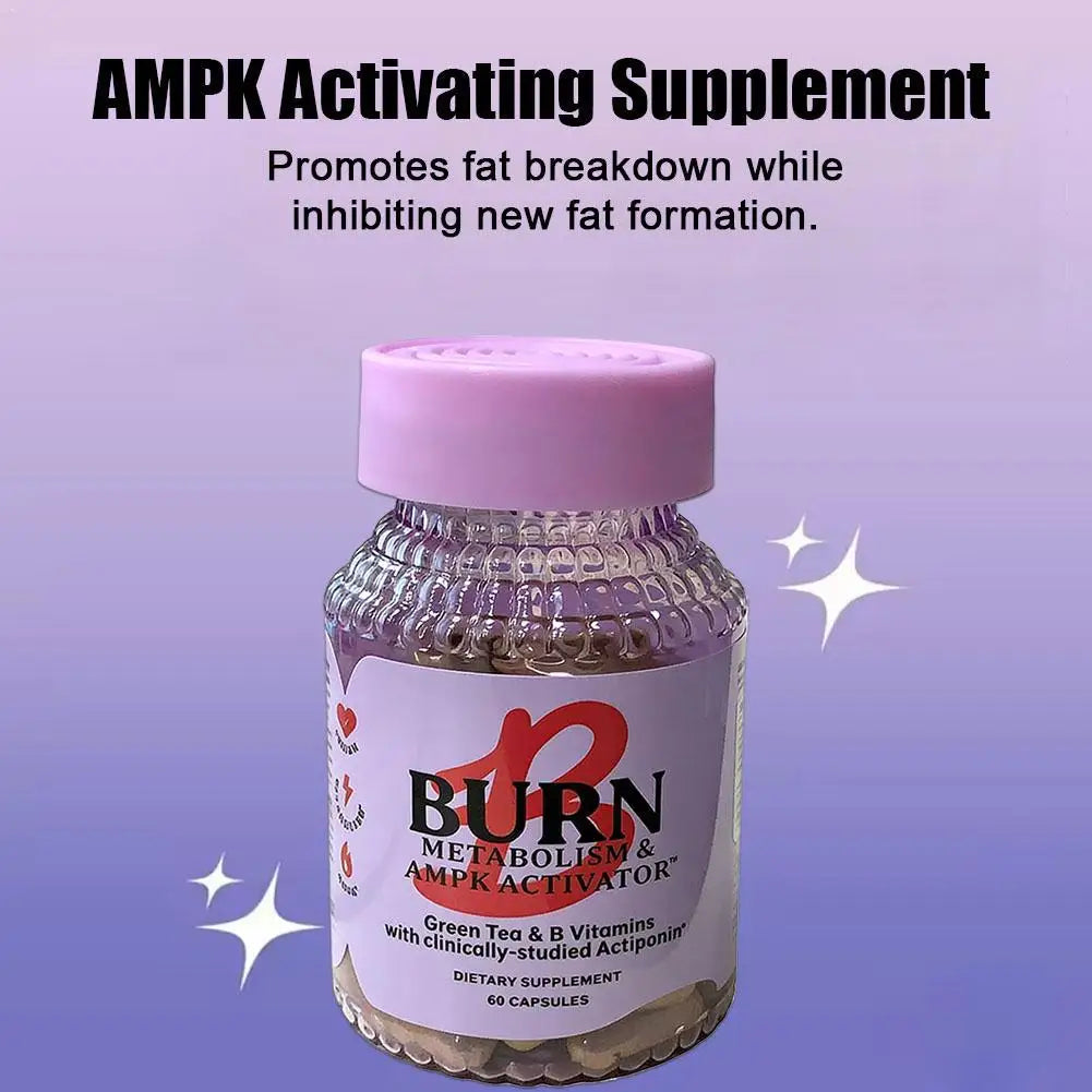 Metabolic Support Probiotic Capsules – 60 Count