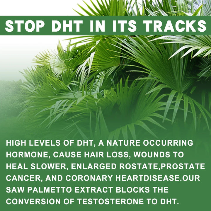 Saw Palmetto Supplement – Prostate &amp; Hair Support