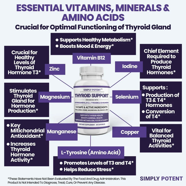 Thyroid Support and Adrenal Support Supplements for Energy, Metabolism, Cortisol Balance, and Combating Stress and Fatigue