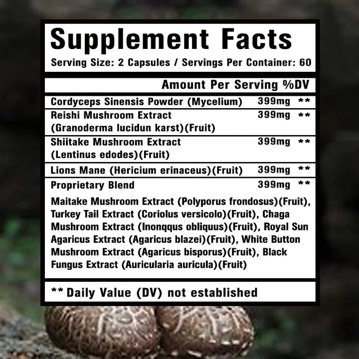 Mushroom Supplement Blend – Energy, Focus &amp; Brain Support