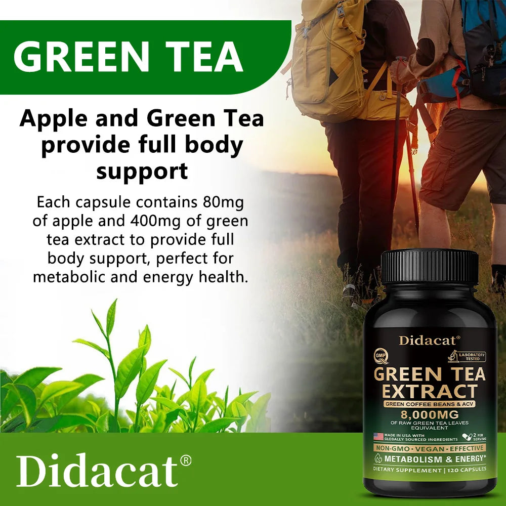 Green Tea Extract Capsules – Metabolism, Energy &amp; Focus