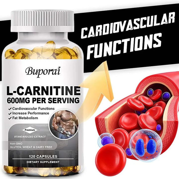 L-Carnitine 600mg Capsules – Fat &amp; Energy Support