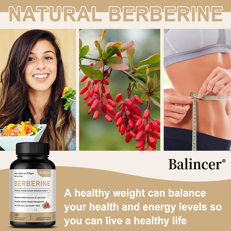 Berberine Capsules 500 Mg - Promotes Cardiovascular and Cholesterol Health, Support Healthy Weight Management and Immune System