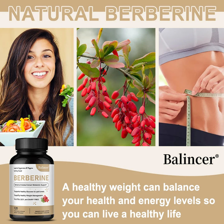 Berberine Capsules 500 Mg - Promotes Cardiovascular and Cholesterol Health, Support Healthy Weight Management and Immune System