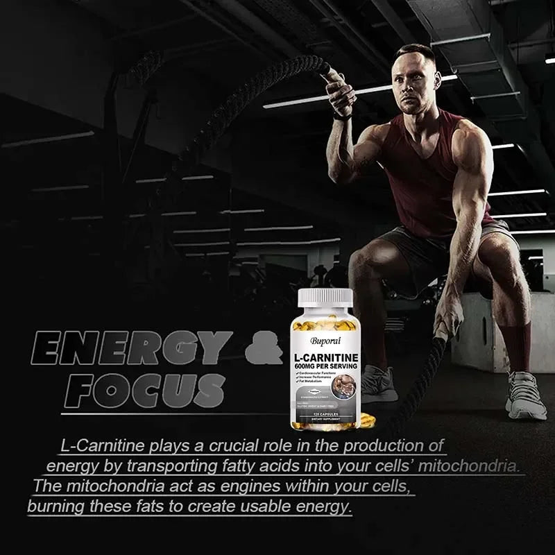 L-Carnitine 600mg Capsules – Fat &amp; Energy Support
