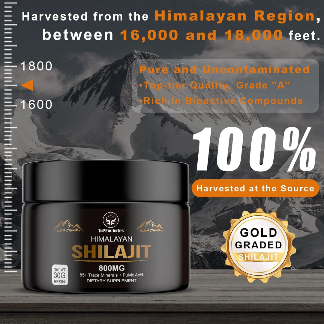 Pure Himalayan Shilajit Resin – 500mg