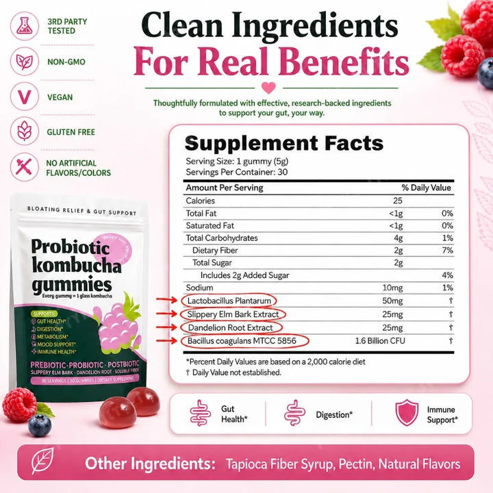 Probiotic Kombucha Gummies – Berry, Prebiotic &amp; Postbiotic