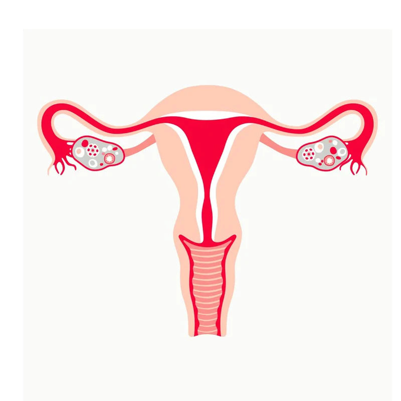 Feminine Balance Gummies – Women’s Wellness &amp; Immune Support