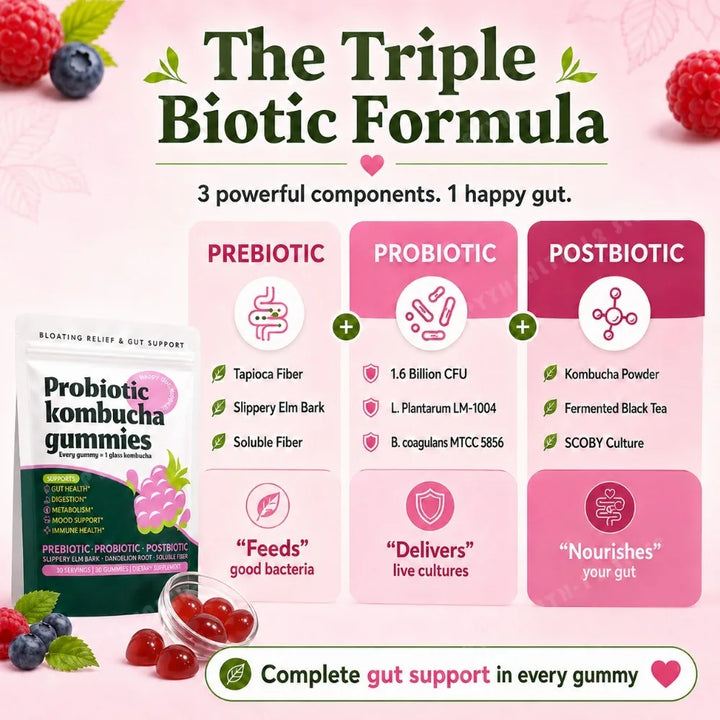 Probiotic Kombucha Gummies – Berry, Prebiotic &amp; Postbiotic