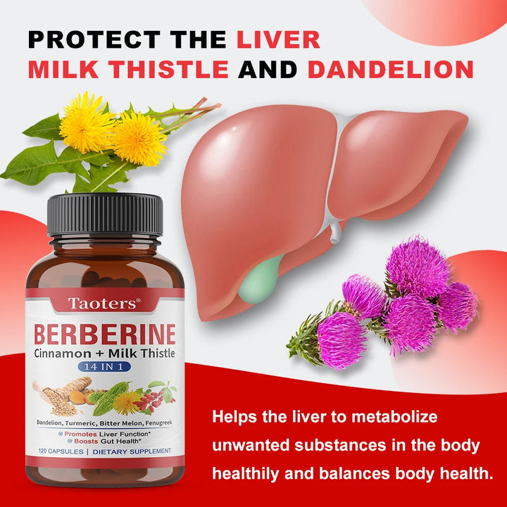 Berberine Capsules with Cinnamon, Milk Thistle, Support Cardiovascular Gut Liver Health, Balance Metabolism Boost Immunity