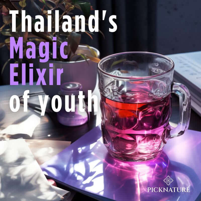 Organic Purple Hibiscus and Butterfly Pea Flower Tea in a glass cup with vibrant colors.