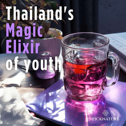 Organic Purple Hibiscus and Butterfly Pea Flower Tea in a glass cup with vibrant colors.